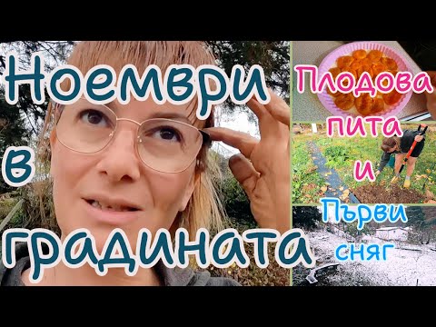 Видео: Лесен сладкиш с плодове от компот. Стари летви - нова мотовилка. Последната леха. Първият сняг.