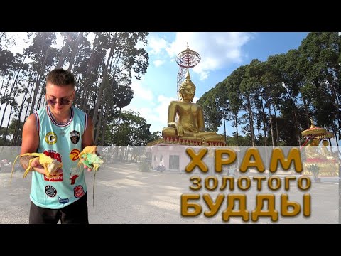 Видео: "Японская кухня в сердце Пхукета: обзор ресторана" 2025