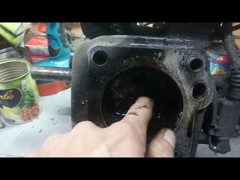 Видео: HONDA GX270 с мусора