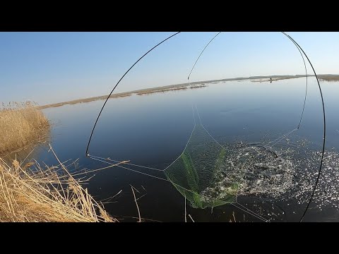 Видео: рыбалка на паук подъёмник в поисках сазана