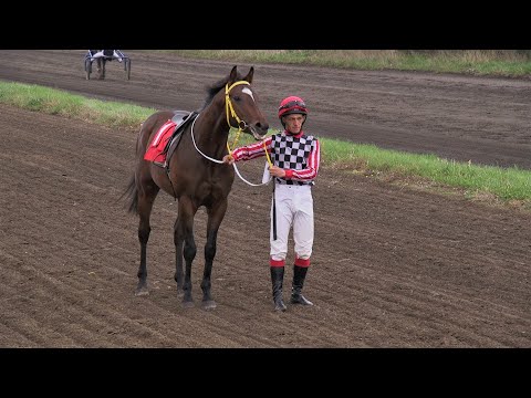 Видео: Открытие бегового сезона 2021 на Красноярском ипподроме