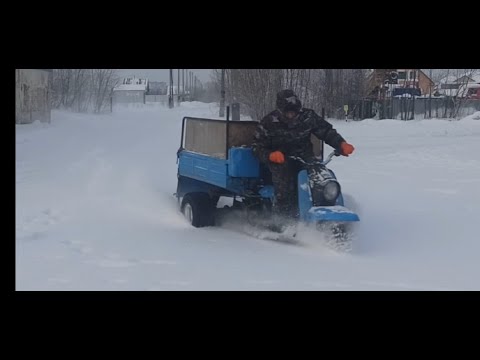 Видео: Муравьиный дрифт 😁