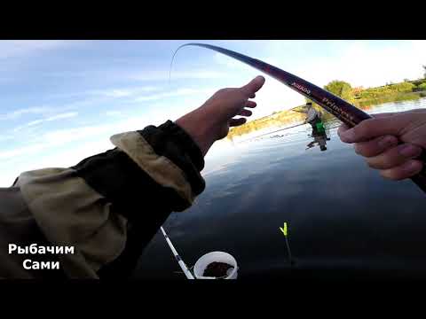 Видео: Рыбалка в подмосковье ! Карп на Кудиновском карьере !