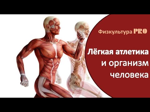 Видео: #легкаяатлетика #физкультура  🏃Как влияют занятия лёгкой атлетикой на организм человека?