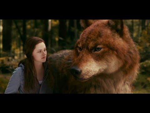 Видео: Сумерки клипы. Я любил тебя. Twilight