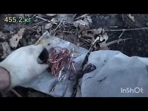 Видео: Пришла весна, начинаю искать ужд!