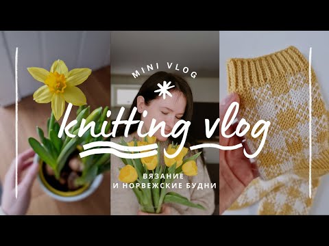 Видео: vlog 19/24 | мое вязанние в мае 🧶 много жаккрада ✨️ готовая работа и масштабный процесс 💛 покупки