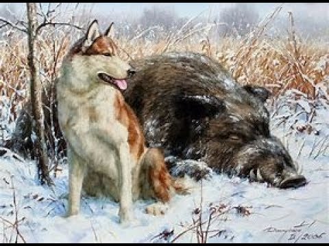 Видео: КАК ЗА СОБАК ВЫПИСЫВАЮТ ПРОТОКОЛ. НЕ ВЕДИТЕСЬ НА ПРОВОКАЦИИ!!!