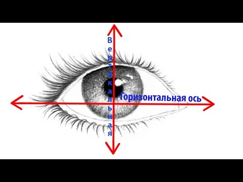 Видео: ТЕОРИЯ  "ГОРИЗОНТАЛЬНАЯ И ВЕРТИКАЛЬНАЯ ОСЬ ГЛАЗА "