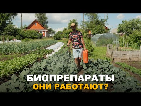Видео: А ПРАВИЛЬНО ЛИ ВЫ ИСПОЛЬЗУЕТЕ БИОПРЕПАРАТЫ? Как правильно применять биопрепараты в саду и огороде.