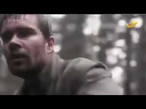 Видео: Аюултай оргодол