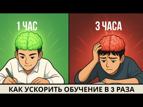 Видео: 1 ЧАС УЧЁБЫ ВМЕСТО 3: секреты эффективного запоминания, которые игнорируют 90% студентов.