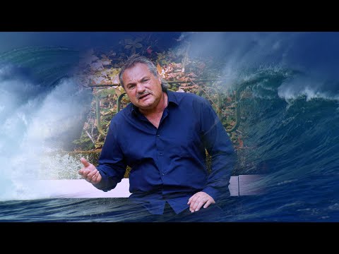 Видео: Васил Алексиев - Кой разплака доброто момиче