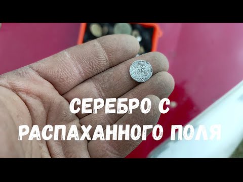 Видео: серебро с распаханного поля