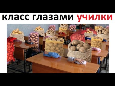 Видео: Лютые приколы. Класс глазами училки