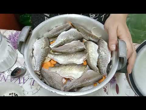 Видео: ПАШТЕТ ИЗ РЕЧНОЙ РЫБЫ ПЛОТВЫ!!! В СКОРОВАРКЕ.🐟🐟🐟