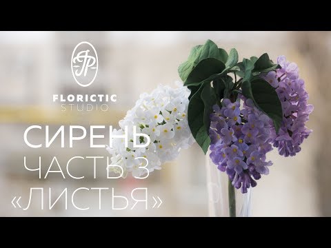 Видео: Сирень из фоамирана. Часть 3. Листья.