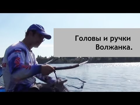 Видео: Как работать с подсадком. Головы и ручки Волжанка.