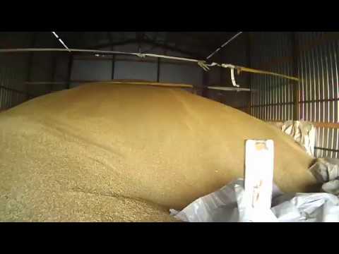 Видео: нашли выход., срочно изготовили приблуду.