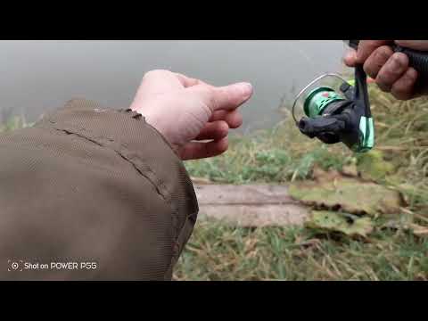 Видео: Рыбалка на карося