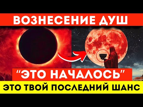 Видео: Вознесенные Души: Вы на Грани Активации. Это Последний Тест.