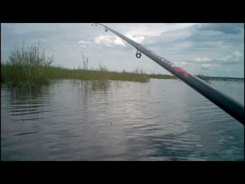 Видео: Ловля карася,озеро Тасей, Забайкальский край