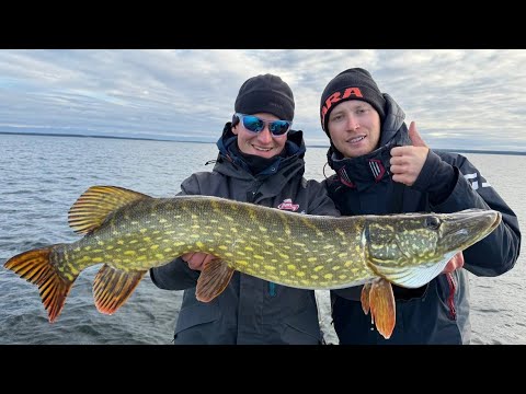 Видео: ДА СКОЛЬКО СДЕСЬ РЫБЫ?! РЫБАЛКА ОСЕНЬЮ! ОЗЕРО НАРОЧЬ! РЫБАЛКА В БЕЛАРУСИ!