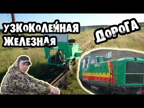 Видео: Алапаевская узкоколейная железная дорога. Выход в "Мир". Сквозь топи и болота. Таежный Сталк #19