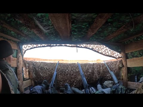 Видео: Весеняя охота на уток в Якутии/сааскы кус 2023