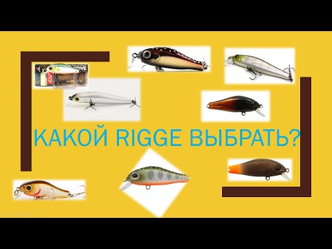 Видео: Какой RIGGE выбрать...