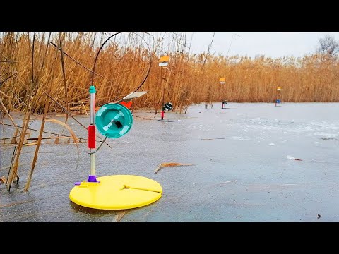 Видео: ПЕРВЫЙ ЛЁД 2023-2024. ЭТО ЖОР ЩУКИ на ЖЕРЛИЦЫ на ПРОЗРАЧНОМ ЛЬДУ. Зимняя рыбалка на жерлицы