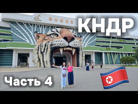 Видео: КНДР: зоопарк и гедонизм на грани безумия! Не хотелось уезжать!