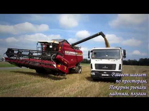 Видео: Хлеборобы