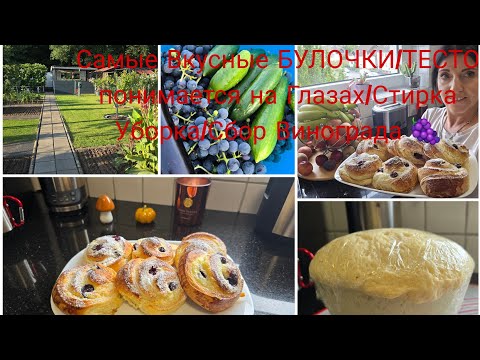 Видео: Vlog 🇩🇪 Пуховые БУЛОЧКИ (Улитки)Нежные Сочные Мягкие /Наша Дача в Германии 🏕хороший урожай Огурцов 🥒