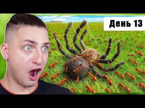 Видео: 1000 ОГНЕННЫХ муравьев против СМЕРТЕЛЬНОЙ добычи - реакция Градуса и Вазачки