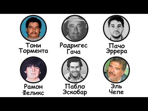 Видео: Как умер каждый глава картеля?