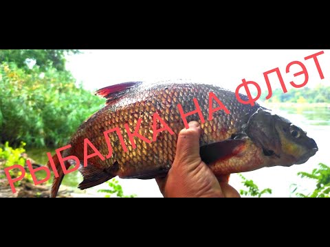Видео: ЛОВЛЯ ЛЕЩА НА ДНЕПРЕ. РЫБАЛКА НА ФЛЭТ.