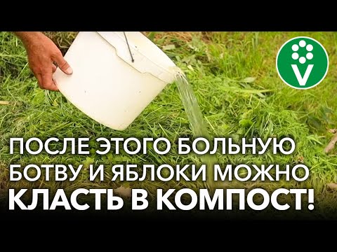 Видео: "ЗАЖИГАЛКА" ДЛЯ КОМПОСТА: ботва быстро перегниет, а от болезней и вредителей не останется и следа!