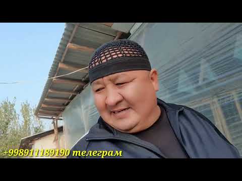 Видео: ПАРВОЗЛАР ЯНГИ ЗОТЛАР ДУНЁГА КЕТДИ/ВЕТНАМ ЗОТИМ ДАМИНИ ОЛАДИ ЭНДИ..
