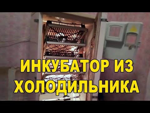 Видео: Простий, бюджетний та ефективний інкубатор із холодильника частина 1