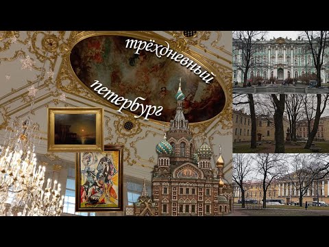 Видео: весенний петербург, искусство, котики и кофе