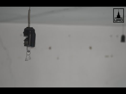 Видео: StaffOnly - Просто слушай