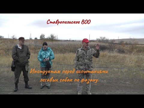 Видео: Инструктаж участников испытаний легавых собак