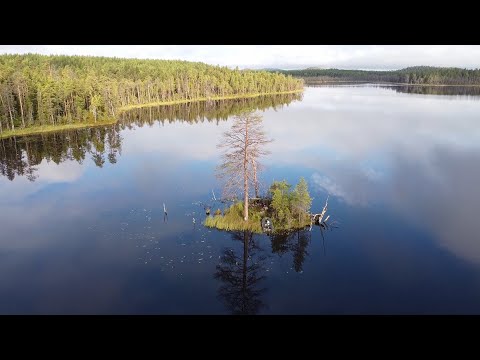 Видео: СТРОЮ ШАЛАШ НА ОСТРОВЕ. РЫБАЛКА НА ТАЁЖНОМ ОЗЕРЕ. СТАВЛЮ ЖЕРЛИЦЫ И САМОЛОВКИ. ЖИВУ НА ОСТРОВЕ