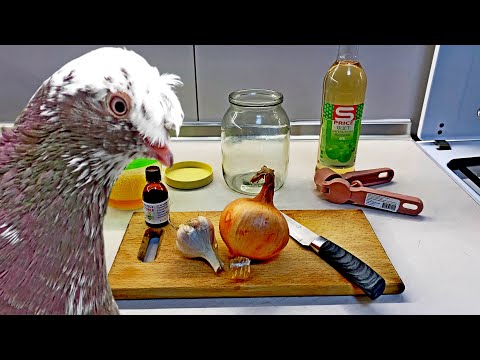 Видео: Голуби не будут Болеть! Лучшее средство! Сделай Сам! Легко и Быстро!
