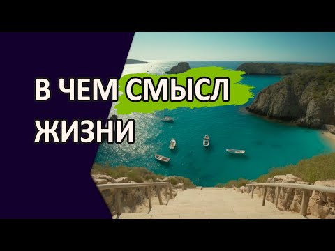 Видео: В чем СМЫСЛ Жизни