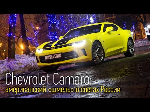 Видео: Chevrolet Camaro — мускул-кар 😋с двухлитровым мотором🙁