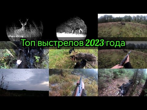Видео: ЛУЧШИЕ ВЫСТРЕЛЫ 2023💥 ТОП выстрелов за 7 минут