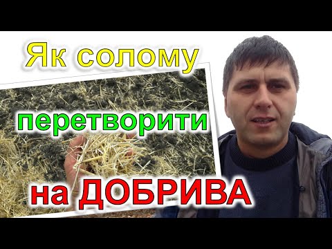 Видео: Як солому перетворити на добрива