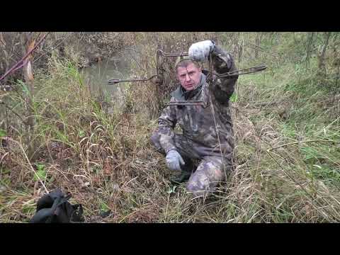 Видео: По сухому Бобр попался в Капкан! Сало, чай, костёр.